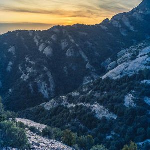 Kashmir Tour Packages